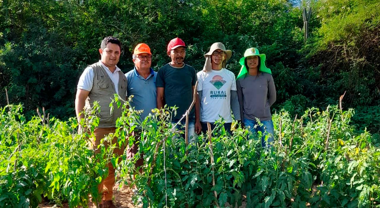Instituto Irmã Dorothy