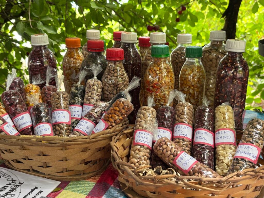 Projeto “Caminhando e Semeando: colhendo do litoral ao sertão” será lançado em Alagoas e beneficiará 600 famílias em quatro estados